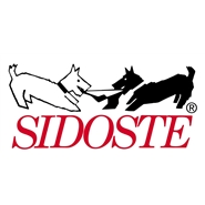 Sidoste Socks