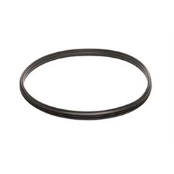 Inspection Riser Seal