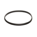 Inspection Riser Seal